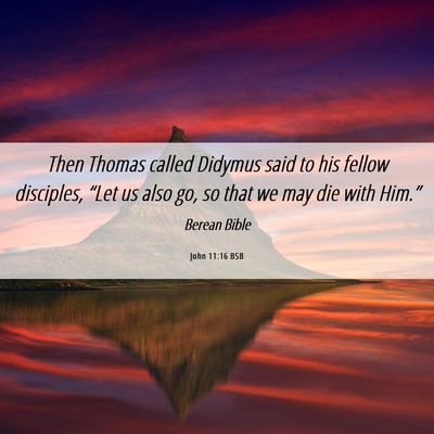 Picture 06 - John 11:16 BSB - Then Thomas called Didymus said to his fellow - Bible Verse Picture
