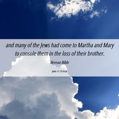 Picture 06 - John 11:19 BSB - and many of the Jews had come to Martha and Mary - Bible Verse Picture