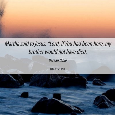 Picture 06 - John 11:21 BSB - Martha said to Jesus, “Lord, if You had been - Bible Verse Picture
