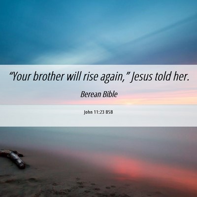 Picture 06 - John 11:23 BSB - “Your brother will rise again,” Jesus told - Bible Verse Picture