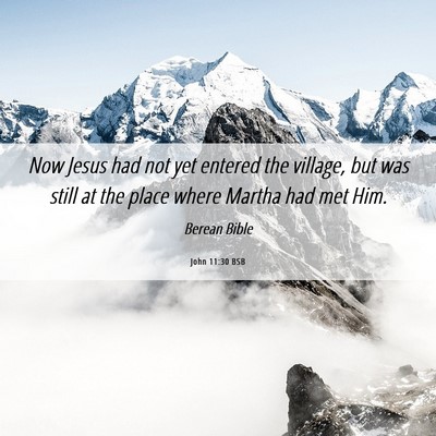 Picture 06 - John 11:30 BSB - Now Jesus had not yet entered the village, but - Bible Verse Picture