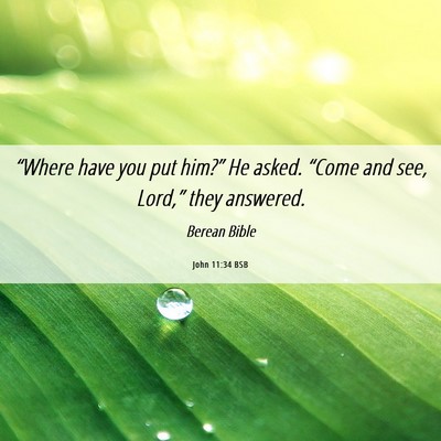 Picture 06 - John 11:34 BSB - “Where have you put him?” He asked. “Come - Bible Verse Picture