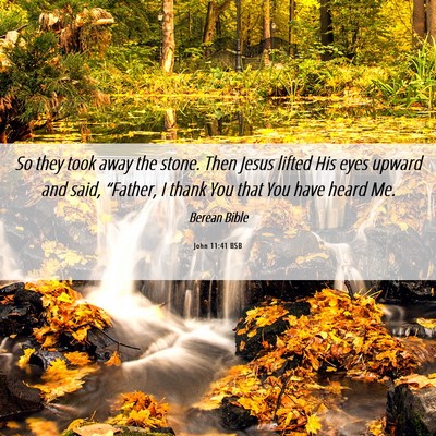 Picture 06 - John 11:41 BSB - So they took away the stone. Then Jesus lifted - Bible Verse Picture