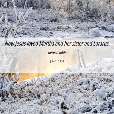 Picture 06 - John 11:5 BSB - Now Jesus loved Martha and her sister and - Bible Verse Picture