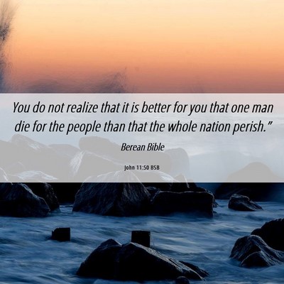 Picture 06 - John 11:50 BSB - You do not realize that it is better for you that - Bible Verse Picture