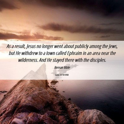 Picture 06 - John 11:54 BSB - As a result, Jesus no longer went about publicly - Bible Verse Picture