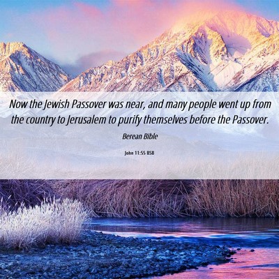 Picture 06 - John 11:55 BSB - Now the Jewish Passover was near, and many people - Bible Verse Picture