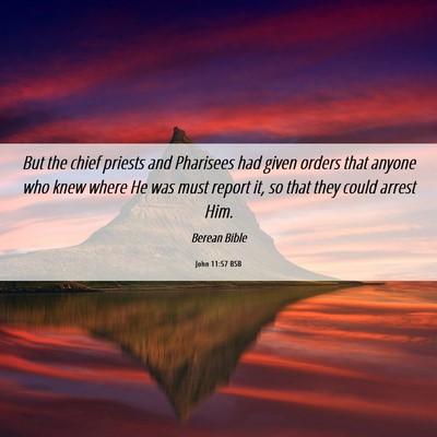 Picture 06 - John 11:57 BSB - But the chief priests and Pharisees had given - Bible Verse Picture
