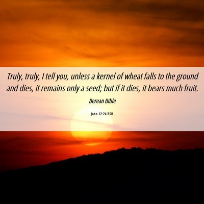 Picture 06 - John 12:24 BSB - Truly, truly, I tell you, unless a kernel of - Bible Verse Picture