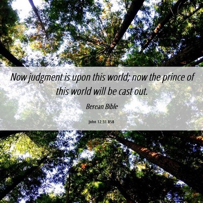 Picture 06 - John 12:31 BSB - Now judgment is upon this world; now the prince - Bible Verse Picture