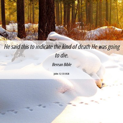 Picture 06 - John 12:33 BSB - He said this to indicate the kind of death He was - Bible Verse Picture