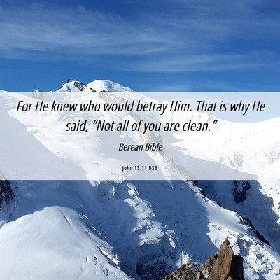 Picture 06 - John 13:11 BSB - For He knew who would betray Him. That is why He - Bible Verse Picture