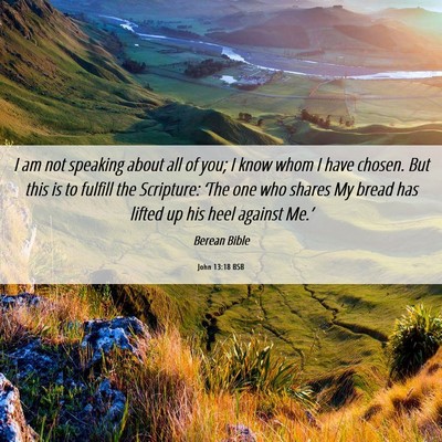 Picture 06 - John 13:18 BSB - I am not speaking about all of you; I know whom I - Bible Verse Picture