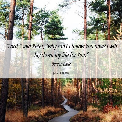 Picture 06 - John 13:37 BSB - “Lord,” said Peter, “why can’t I follow - Bible Verse Picture