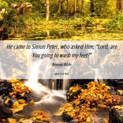 Picture 06 - John 13:6 BSB - He came to Simon Peter, who asked Him, “Lord, - Bible Verse Picture
