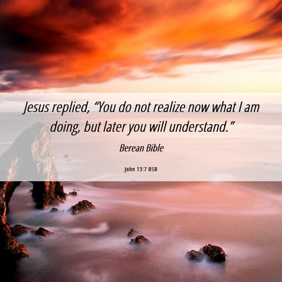 Picture 06 - John 13:7 BSB - Jesus replied, “You do not realize now what I - Bible Verse Picture