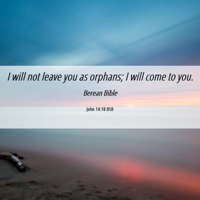 Picture 06 - John 14:18 BSB - I will not leave you as orphans; I will come to - Bible Verse Picture