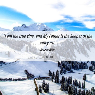 Picture 06 - John 15:1 BSB - “I am the true vine, and My Father is the - Bible Verse Picture