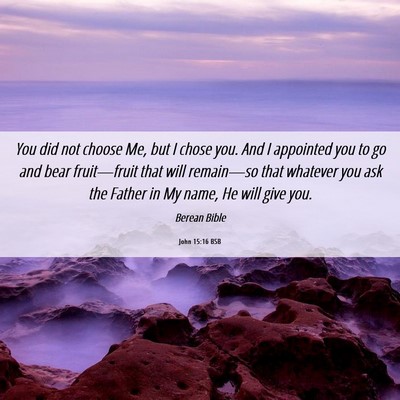 Picture 06 - John 15:16 BSB - You did not choose Me, but I chose you. And I - Bible Verse Picture
