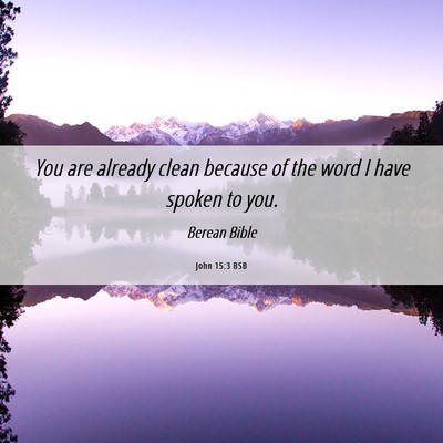 Picture 06 - John 15:3 BSB - You are already clean because of the word I have - Bible Verse Picture