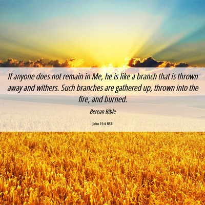 Picture 06 - John 15:6 BSB - If anyone does not remain in Me, he is like a - Bible Verse Picture