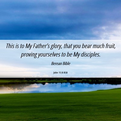 Picture 06 - John 15:8 BSB - This is to My Father’s glory, that you bear - Bible Verse Picture