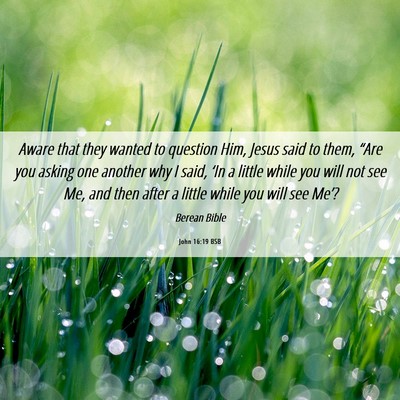 Picture 06 - John 16:19 BSB - Aware that they wanted to question Him, Jesus - Bible Verse Picture