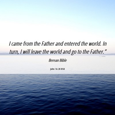 Picture 06 - John 16:28 BSB - I came from the Father and entered the world. In - Bible Verse Picture