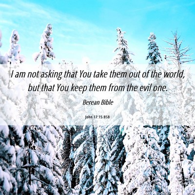 Picture 06 - John 17:15 BSB - I am not asking that You take them out of the - Bible Verse Picture