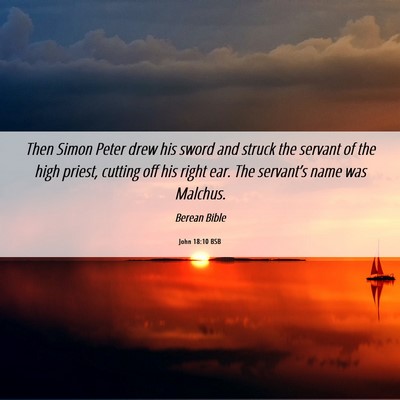 Picture 06 - John 18:10 BSB - Then Simon Peter drew his sword and struck the - Bible Verse Picture