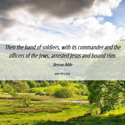 Picture 06 - John 18:12 BSB - Then the band of soldiers, with its commander and - Bible Verse Picture