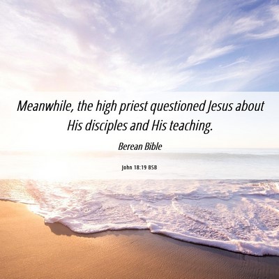 Picture 06 - John 18:19 BSB - Meanwhile, the high priest questioned Jesus about - Bible Verse Picture