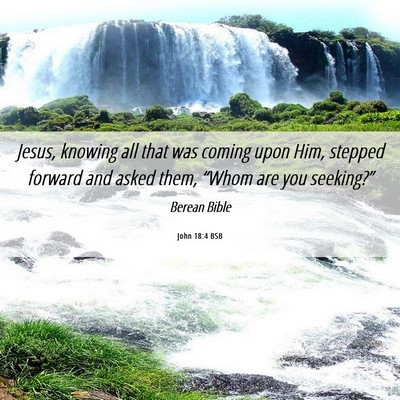 Picture 06 - John 18:4 BSB - Jesus, knowing all that was coming upon Him, - Bible Verse Picture