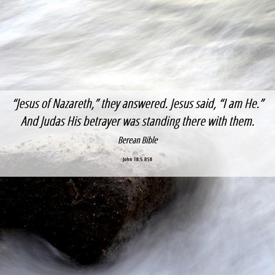 Picture 06 - John 18:5 BSB - “Jesus of Nazareth,” they answered. Jesus - Bible Verse Picture