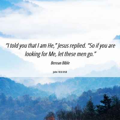 Picture 06 - John 18:8 BSB - “I told you that I am He,” Jesus replied. - Bible Verse Picture
