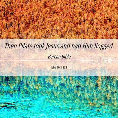 Picture 06 - John 19:1 BSB - Then Pilate took Jesus and had Him - Bible Verse Picture