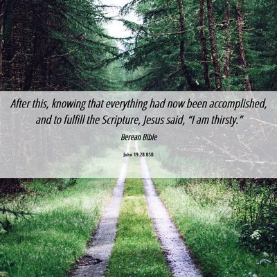 Picture 06 - John 19:28 BSB - After this, knowing that everything had now been - Bible Verse Picture