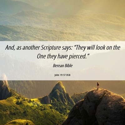 Picture 06 - John 19:37 BSB - And, as another Scripture says: “They will look - Bible Verse Picture