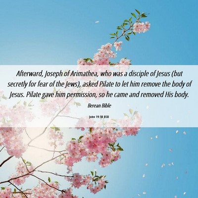Picture 06 - John 19:38 BSB - Afterward, Joseph of Arimathea, who was a - Bible Verse Picture