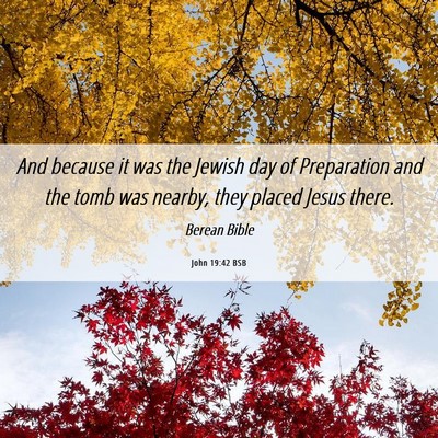 Picture 06 - John 19:42 BSB - And because it was the Jewish day of Preparation - Bible Verse Picture