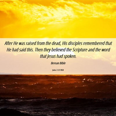 Picture 06 - John 2:22 BSB - After He was raised from the dead, His disciples - Bible Verse Picture