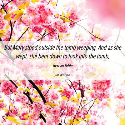 Picture 06 - John 20:11 BSB - But Mary stood outside the tomb weeping. And as - Bible Verse Picture