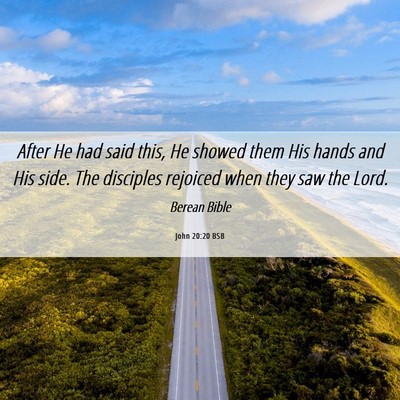 Picture 06 - John 20:20 BSB - After He had said this, He showed them His hands - Bible Verse Picture