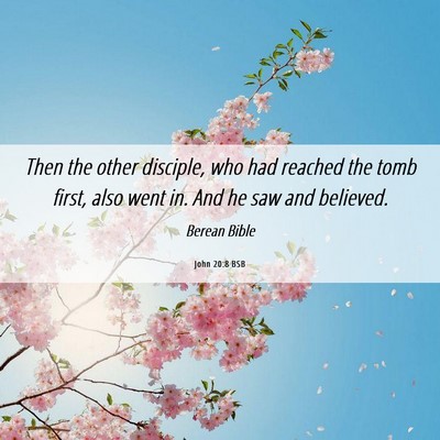 Picture 06 - John 20:8 BSB - Then the other disciple, who had reached the tomb - Bible Verse Picture