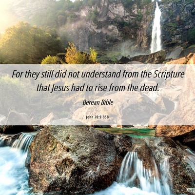 Picture 06 - John 20:9 BSB - For they still did not understand from the - Bible Verse Picture