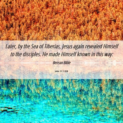 Picture 06 - John 21:1 BSB - Later, by the Sea of Tiberias, Jesus again - Bible Verse Picture
