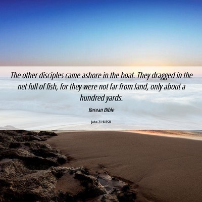 Picture 06 - John 21:8 BSB - The other disciples came ashore in the boat. They - Bible Verse Picture