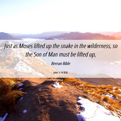Picture 06 - John 3:14 BSB - Just as Moses lifted up the snake in the - Bible Verse Picture