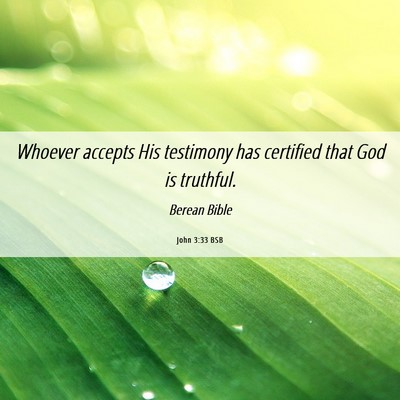 Picture 06 - John 3:33 BSB - Whoever accepts His testimony has certified that - Bible Verse Picture