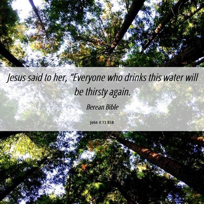 Picture 06 - John 4:13 BSB - Jesus said to her, “Everyone who drinks this - Bible Verse Picture